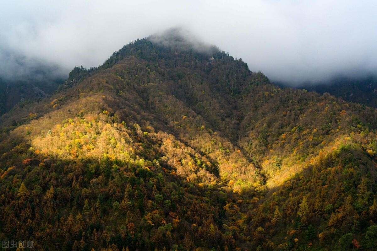 黄河是中华文明的根源和象征,中华文明为何起源于黄河