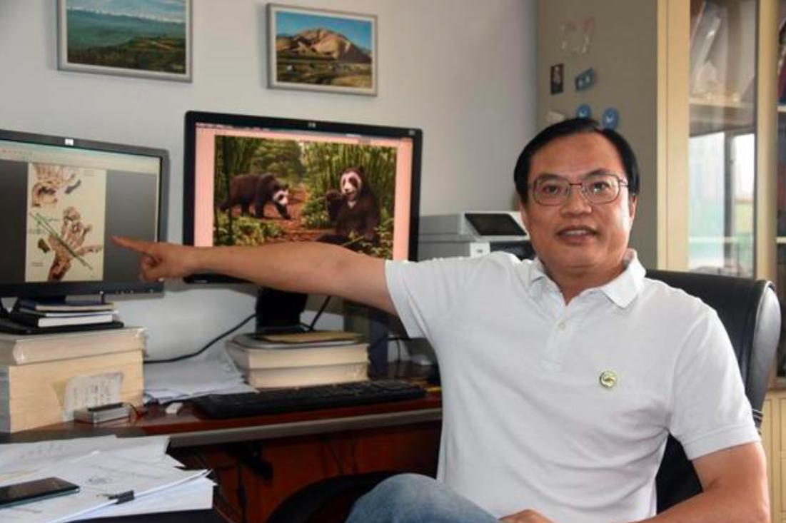 大熊猫吃竹子实际上是什么,大熊猫专吃竹子可追溯到600万年前