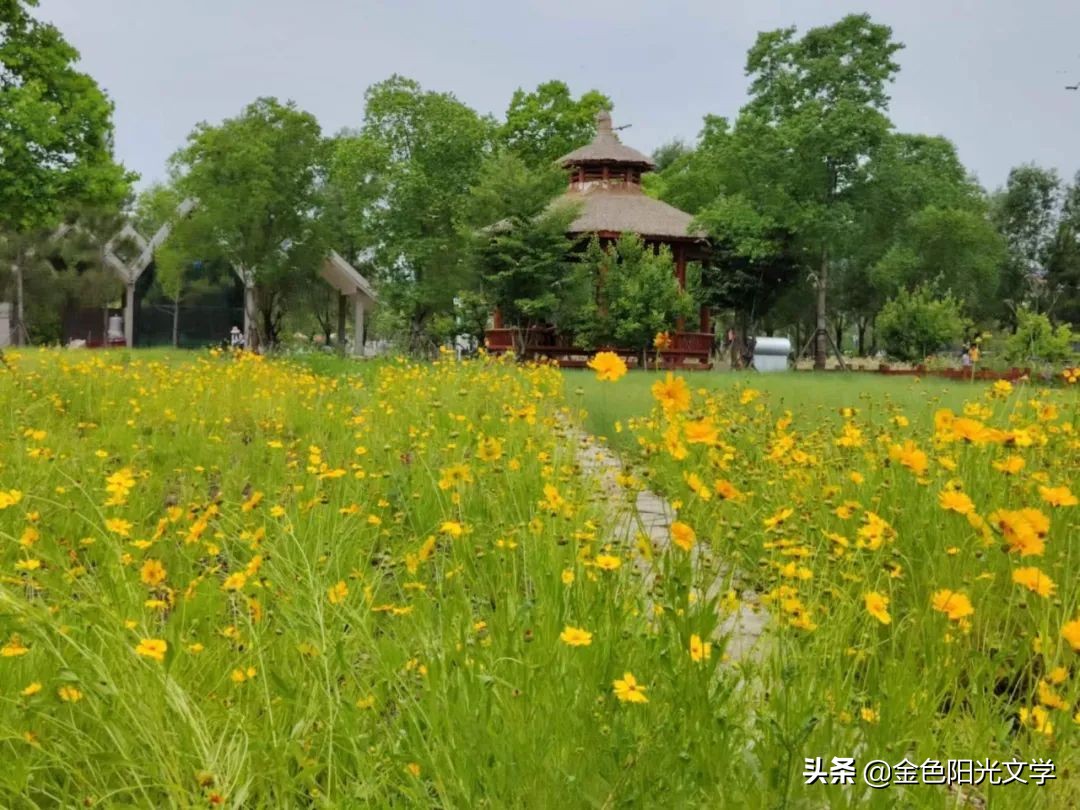 我的自画像独一无二,我的自画像范例