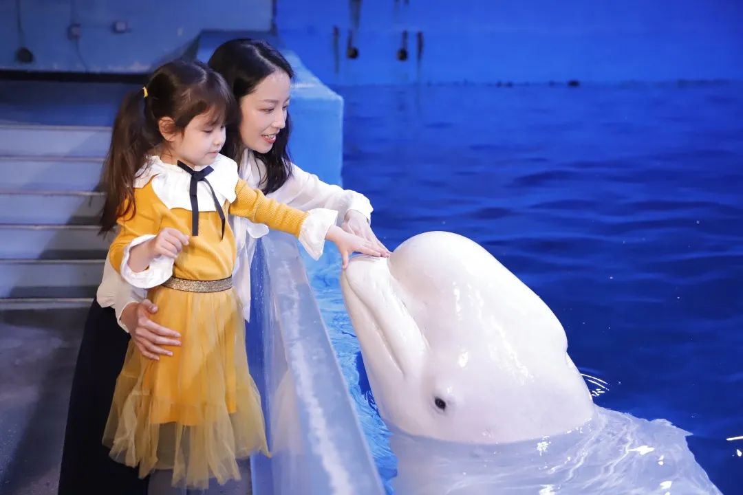 天津遛娃圣地,天津周末免费遛娃好去处