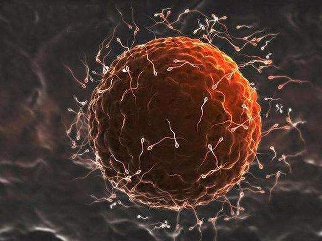 “人工受精”跟“人工授精”，仅有一字之差，二者的差异却不小