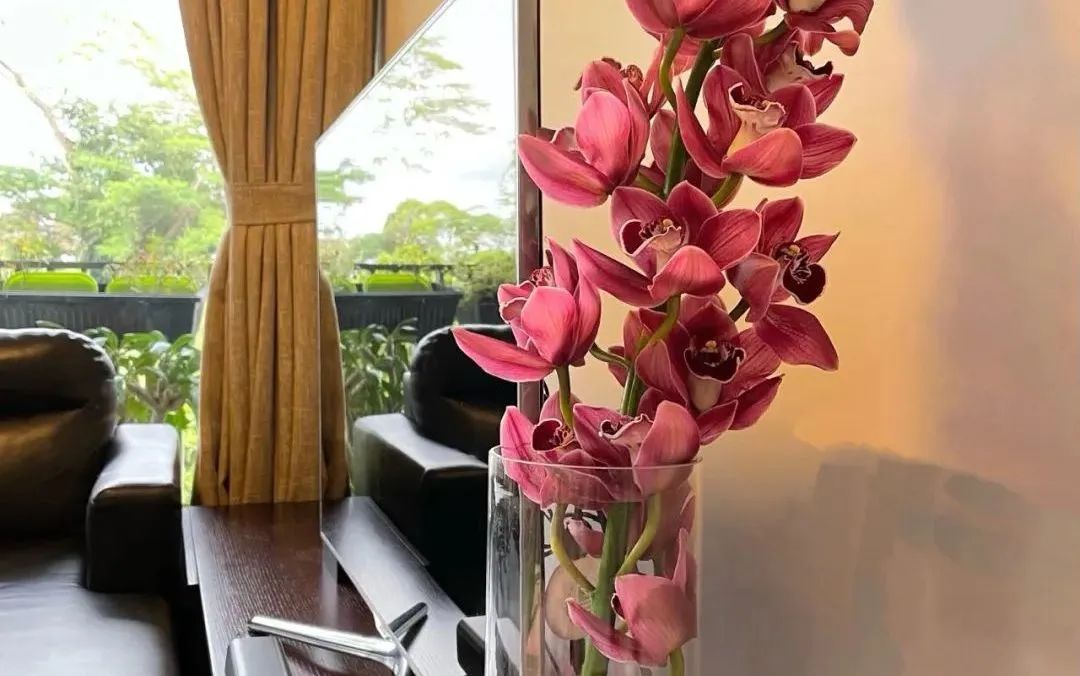 鲜花在水里能养几天会死,新加坡盆栽花卉怎么养