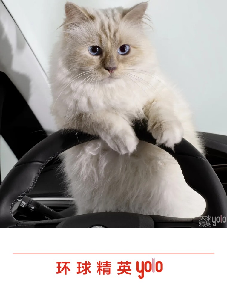 metgala绾㈡2022,metgala绾㈡2021