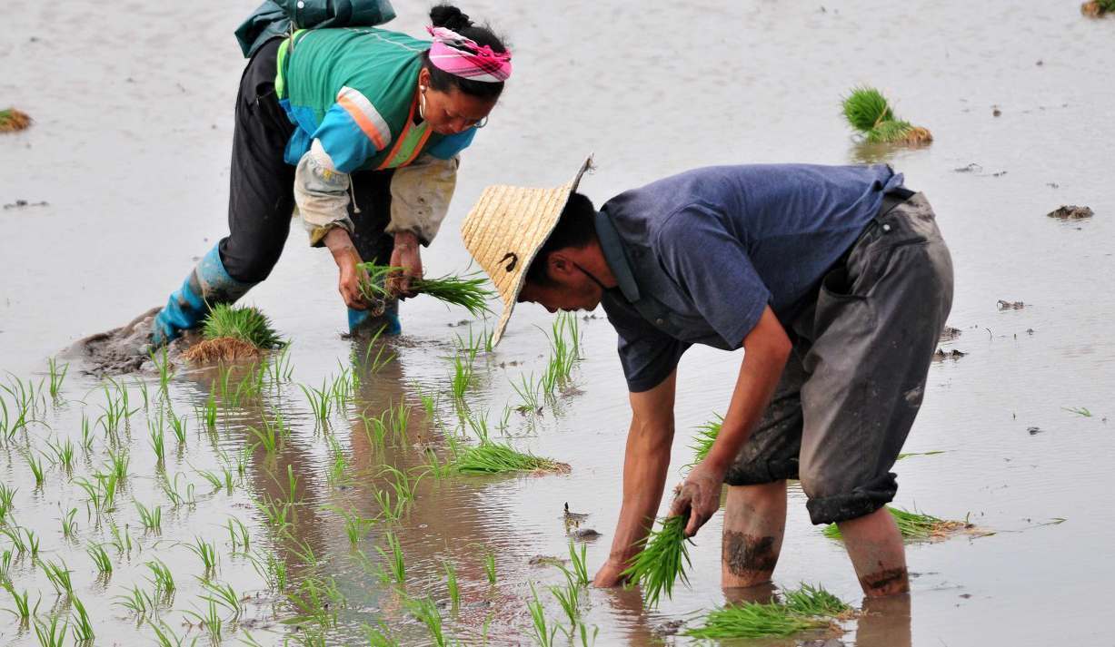 34岁男博士11天内连续5次捐精，第五次猝死在取精室内