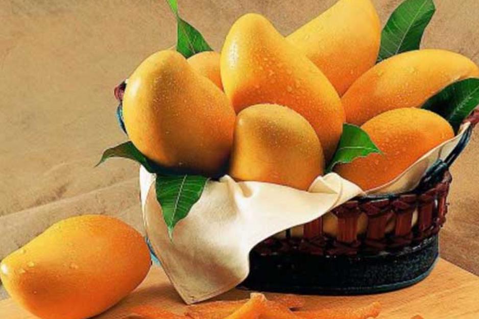 经期注意不能吃什么食物,经期到底不能干什么