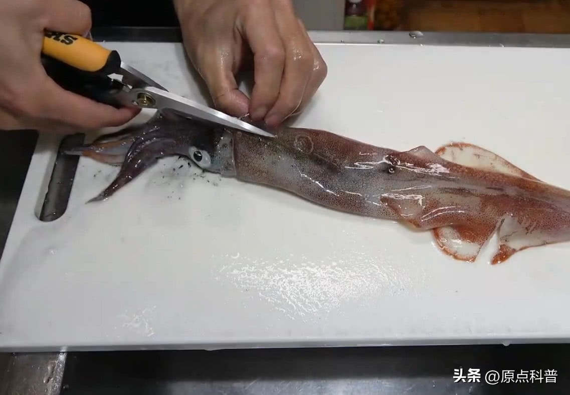 日本最奇葩的十种美食,日本美食奇葩美食