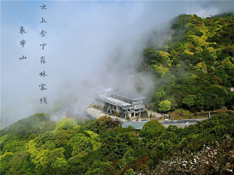 普洱顶级民宿,云宿轻奢精品民宿