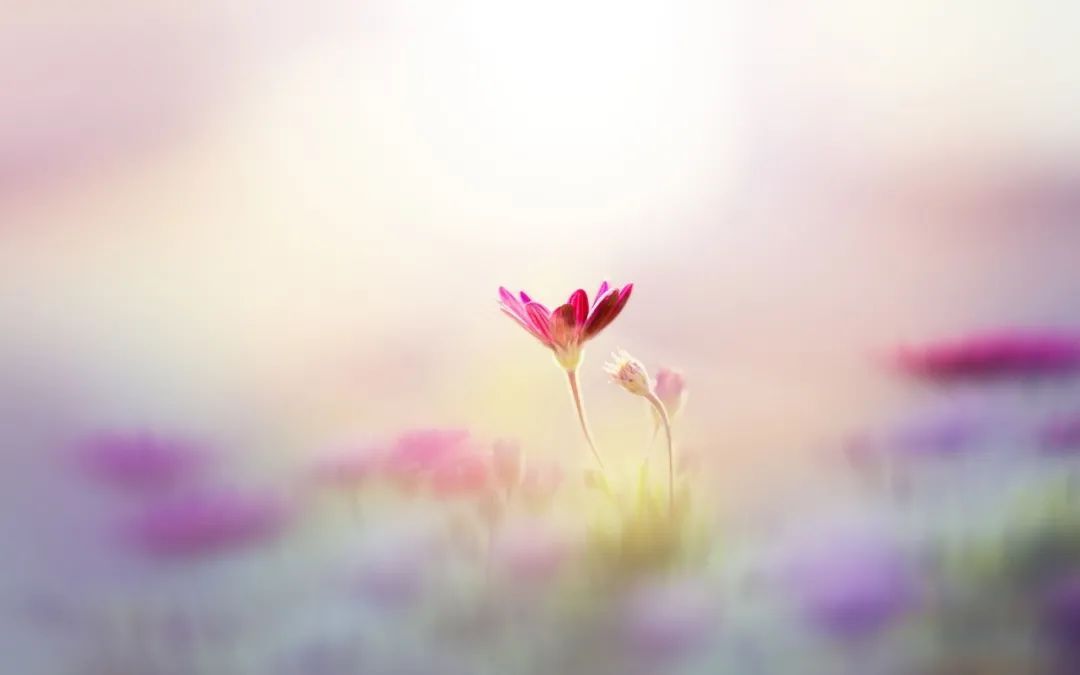 自媒体快速赚钱的15种方法,自媒体博主如何赚钱