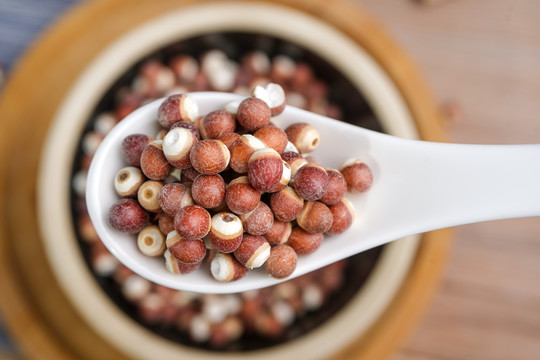 芡实为何说是水中人参,水中人参芡实是什么东西