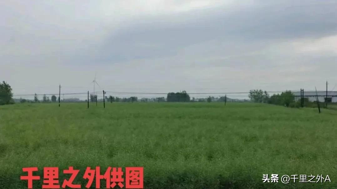 牛蹄河之恋（中篇）