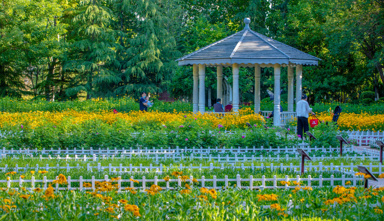 济南有隐秘的角落公园,推荐济南6处鲜为人知的小众之地