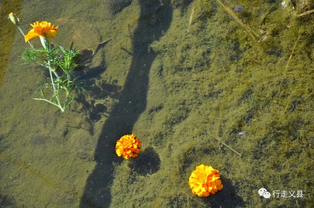 金秋十月看万山红遍层林尽染,金秋十月看红叶的诗句