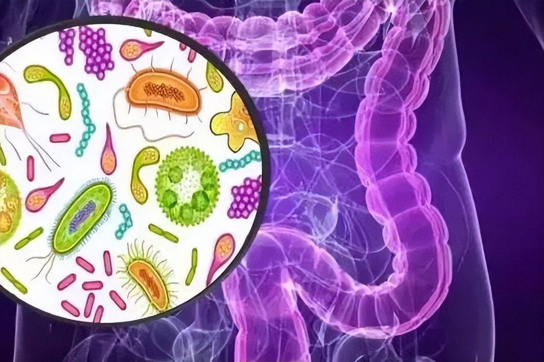 胰腺癌免疫治疗的研究进展,如何利用微生物扩增基因