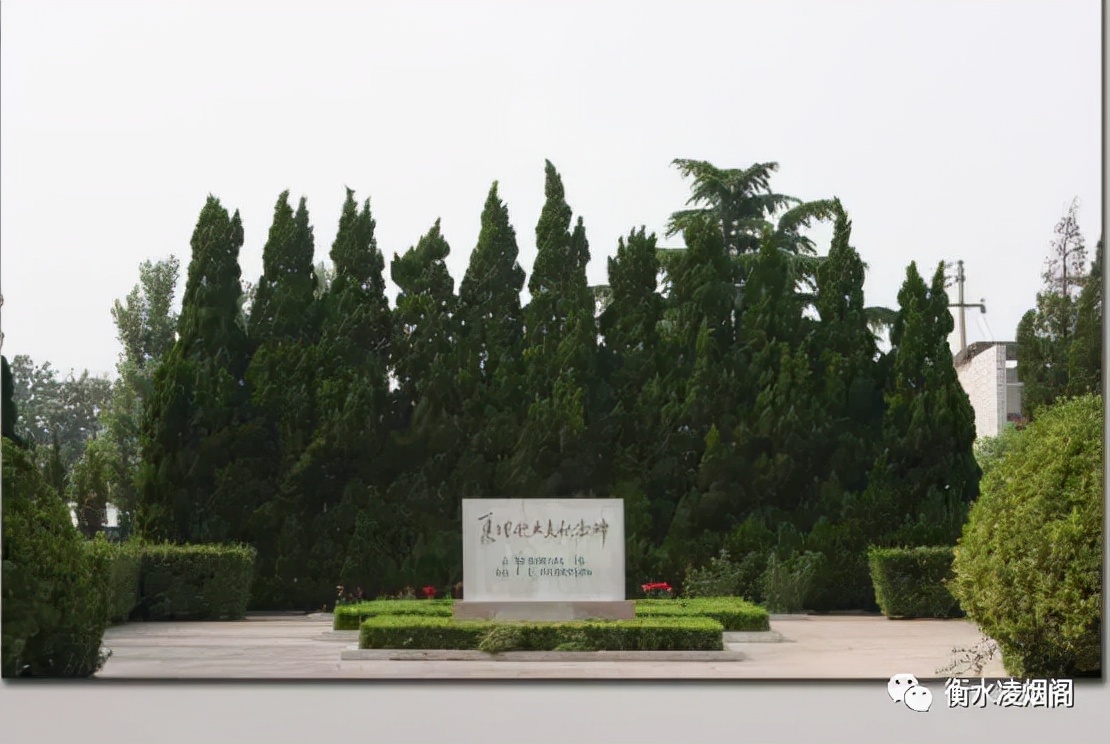 哈励逊国际和平医院怎么样,哈励逊国际和平医院