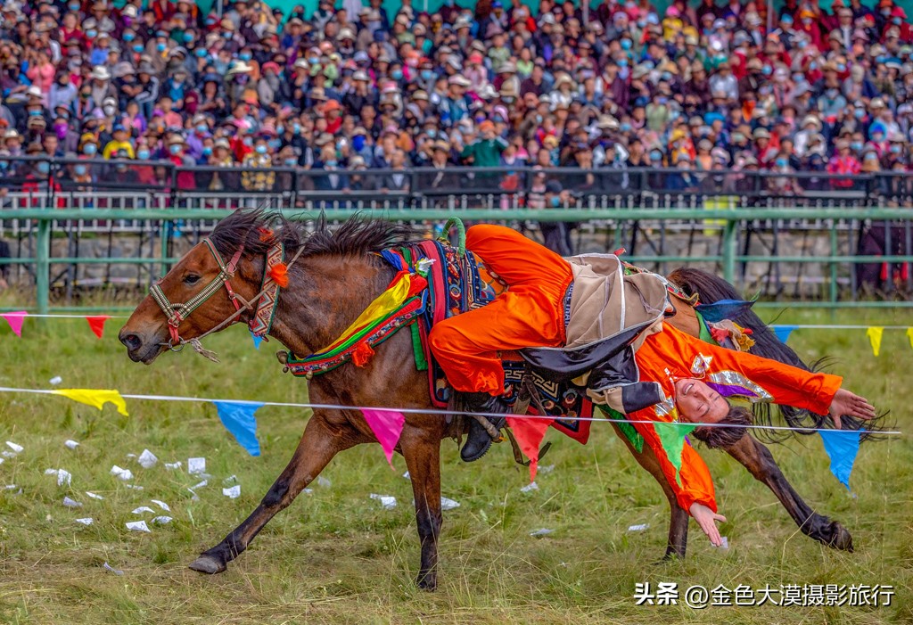 甘南之行第十一站河曲马场,甘南河曲马场视频