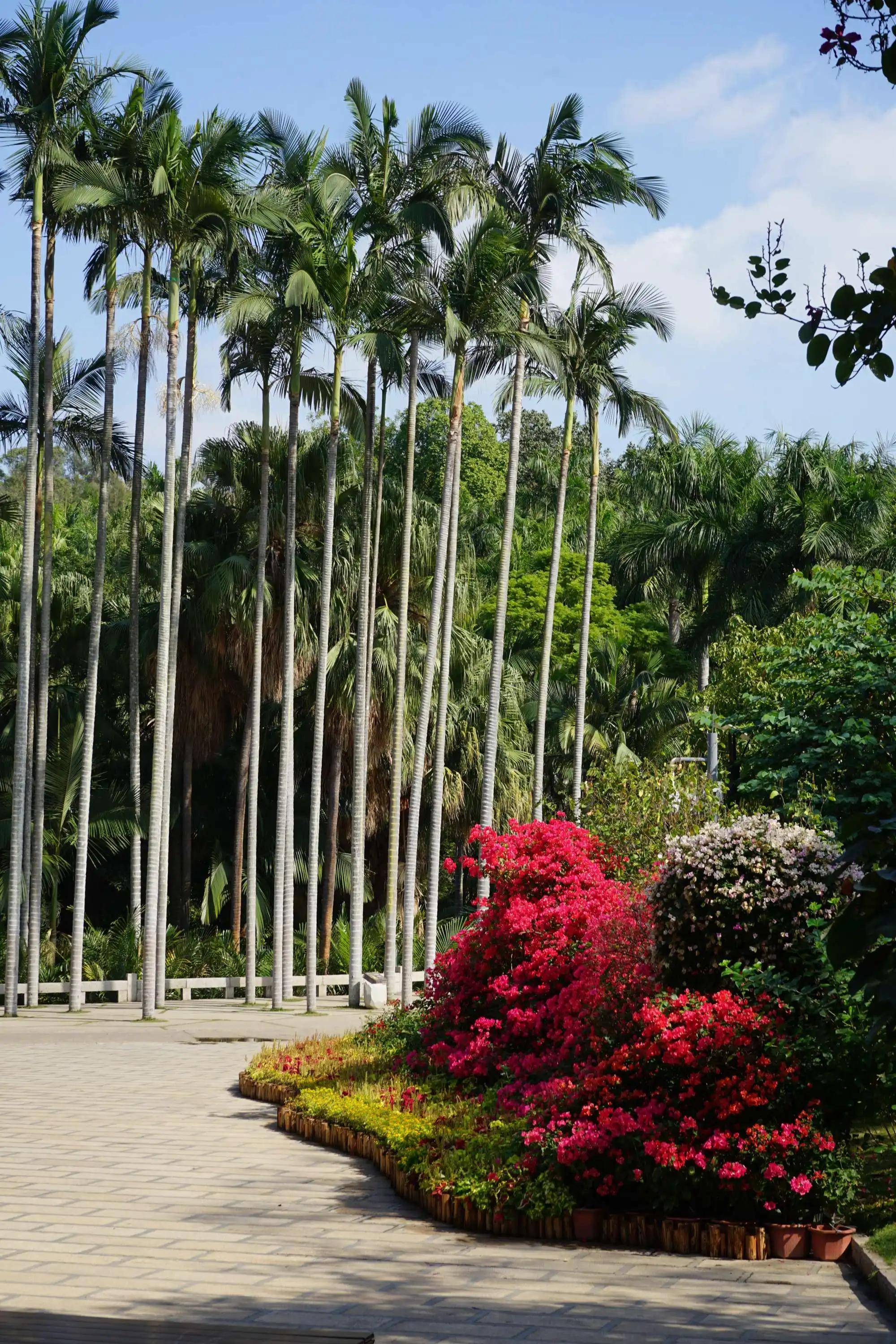 厦门带孩子去哪里玩,厦门带女朋友去哪里玩