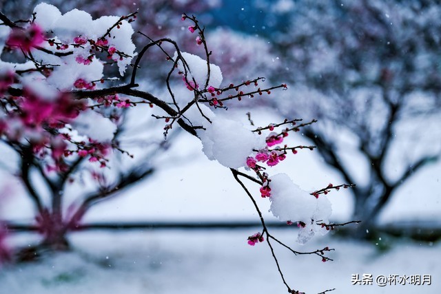 62岁前夫变阳，搭伙女人跑了！我送去急救室，他留给我80万（上）