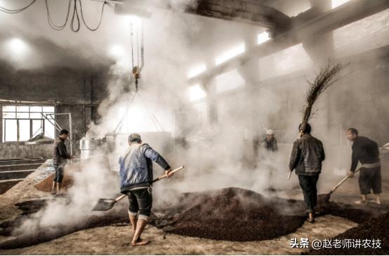 100斤粮食能酿造多少纯粮酒,100斤粮食能酿多少斤53度的酒