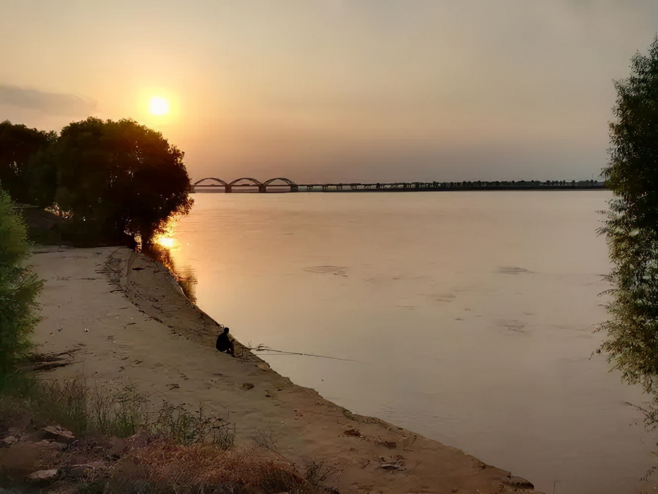 黄河里面都有哪些鱼种,黄河怎么野钓鱼