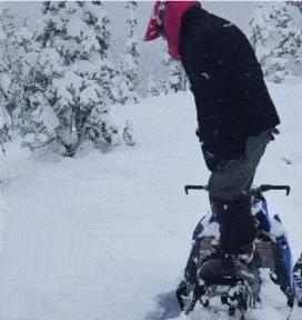 神回复：扔第一颗的时候，日本就是这么想的！神评把我笑死了