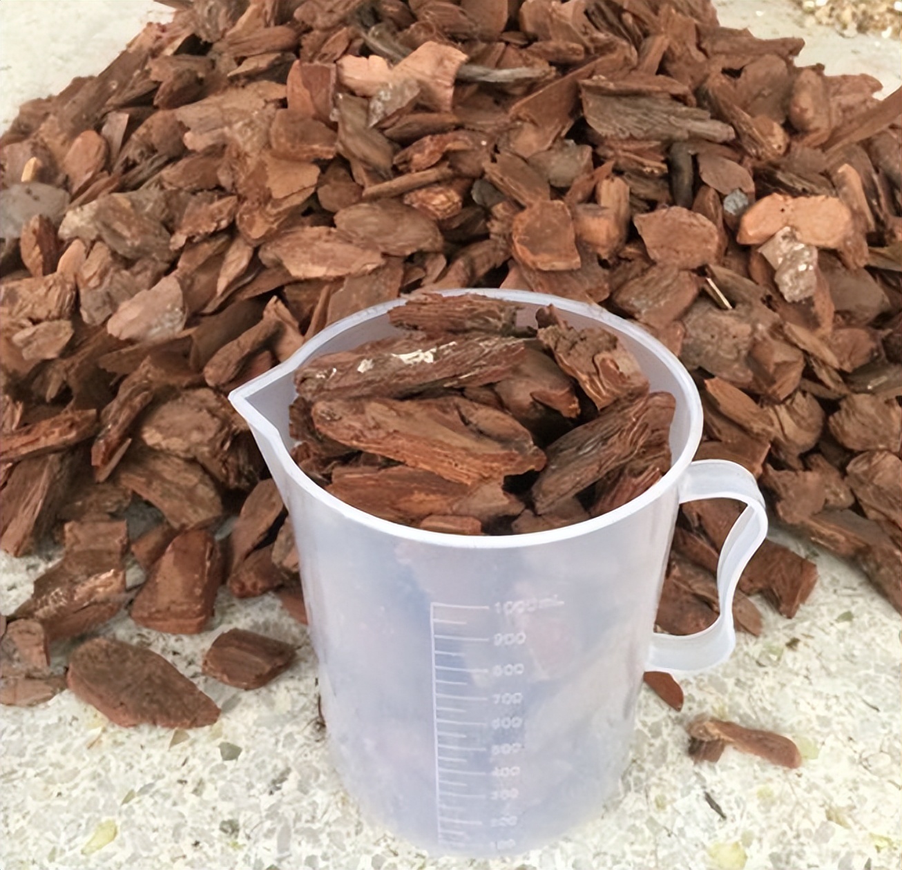 铁皮石斛种植方法和注意事项,种植铁皮石斛最好的方法