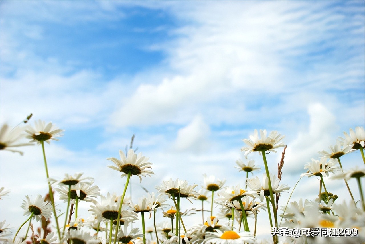 日语与汉语发音相似的单词,日语与维吾尔语相似之处