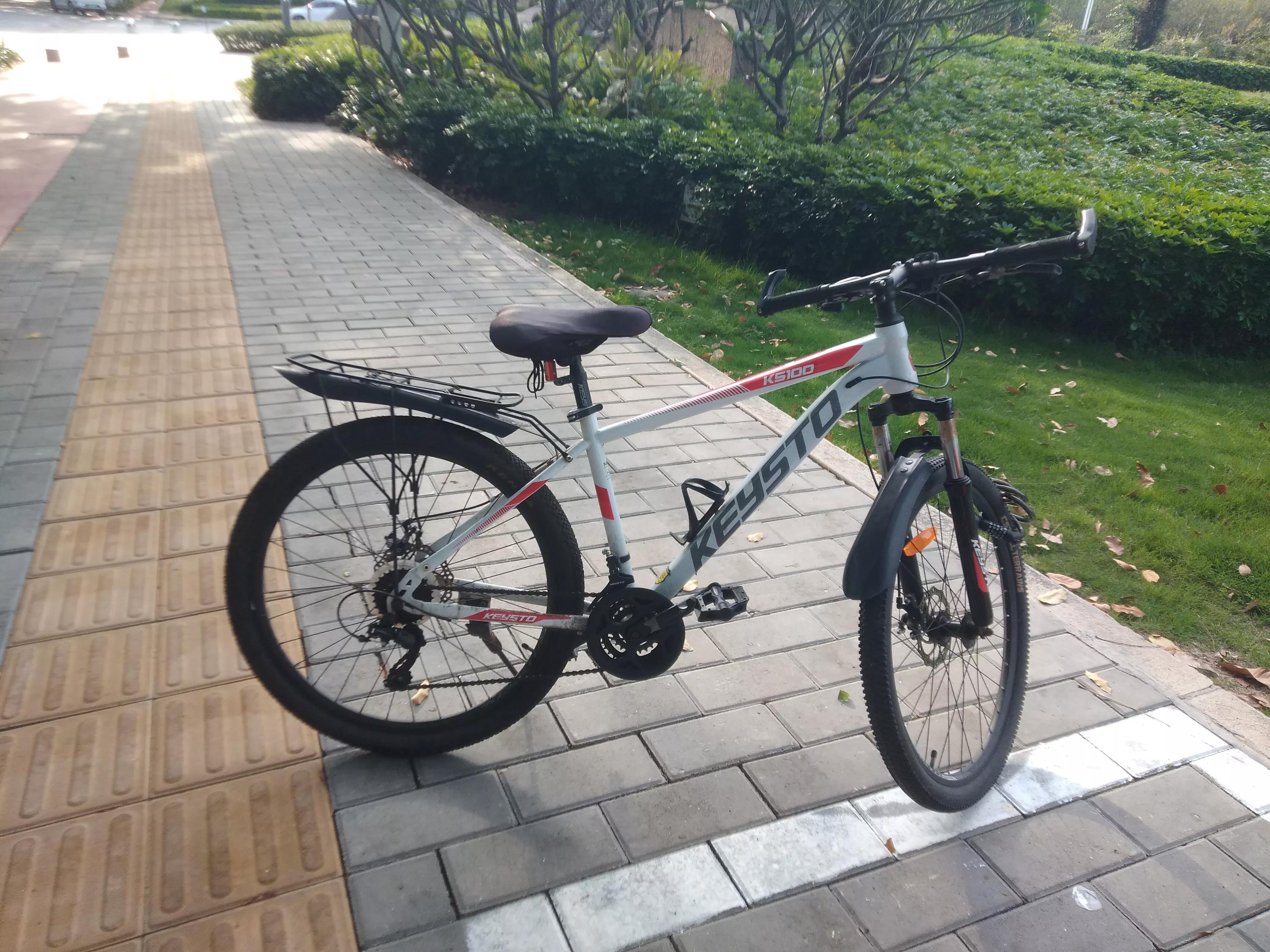 自行车丢了报警找回几率多大,丢了多年的自行车找到了