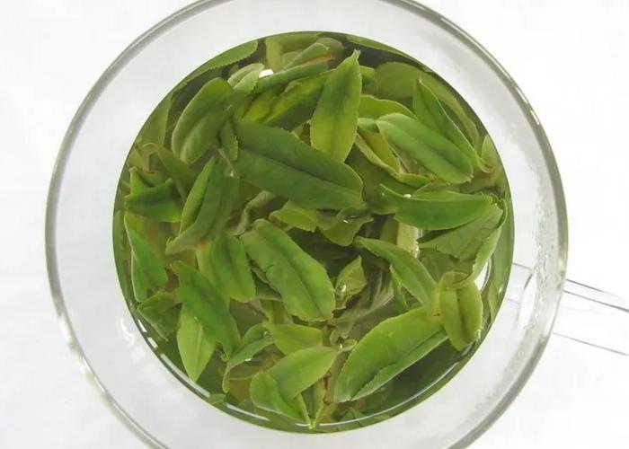 绿茶的8大品种有哪些,绿茶有哪些品种最好