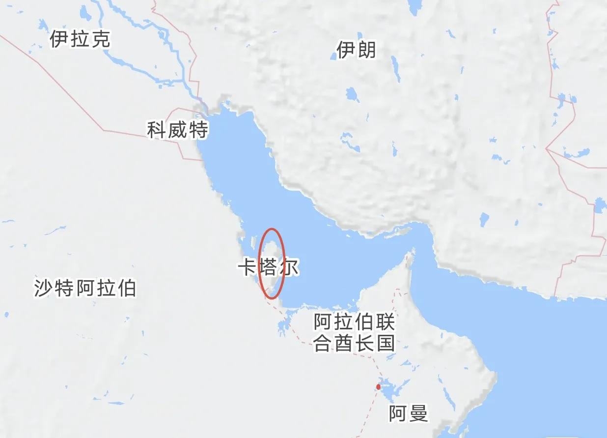 熊猫抵达卡塔尔,熊猫抵达卡塔尔受当地民众欢迎