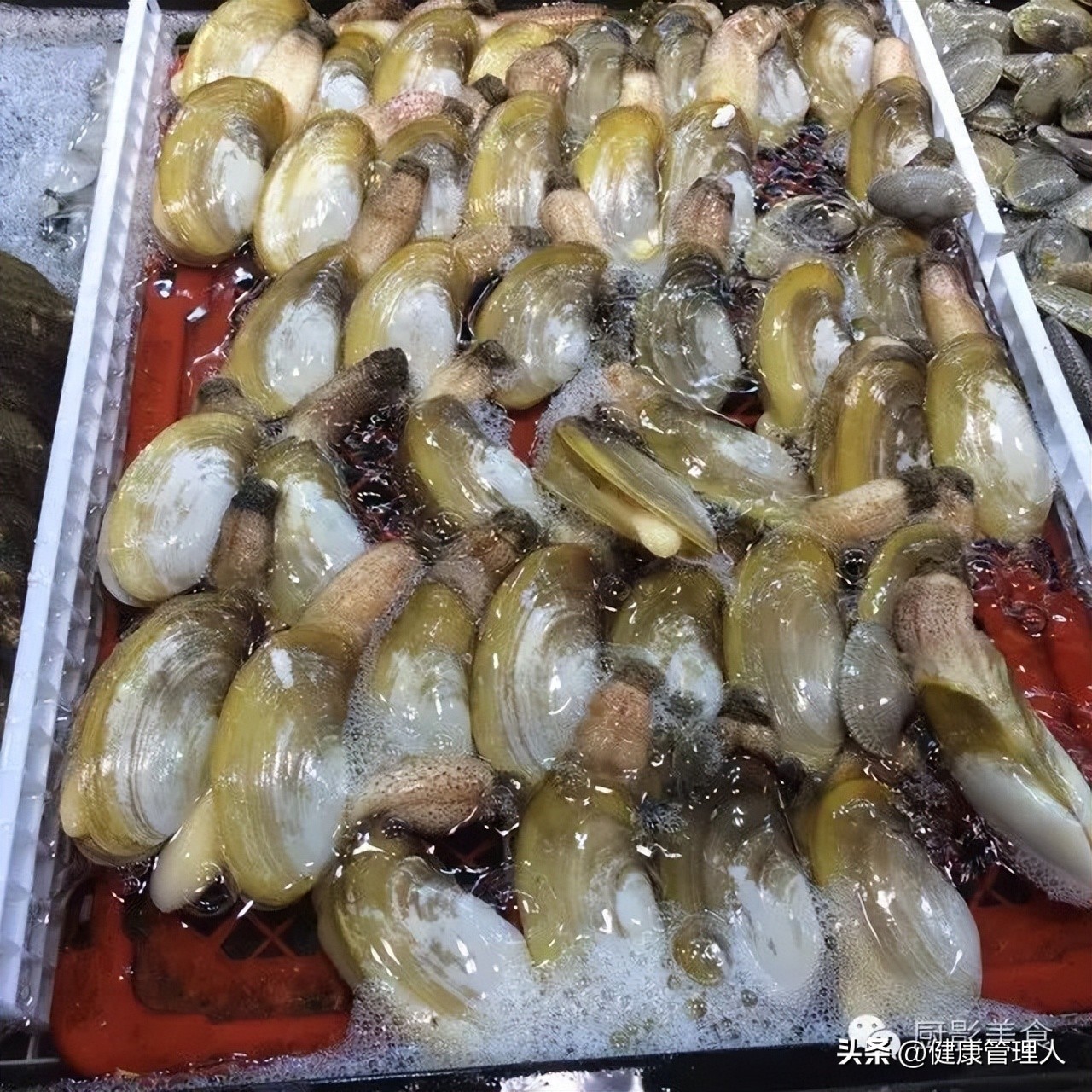 世界顶级海鲜食材,世界顶级的海鲜视频