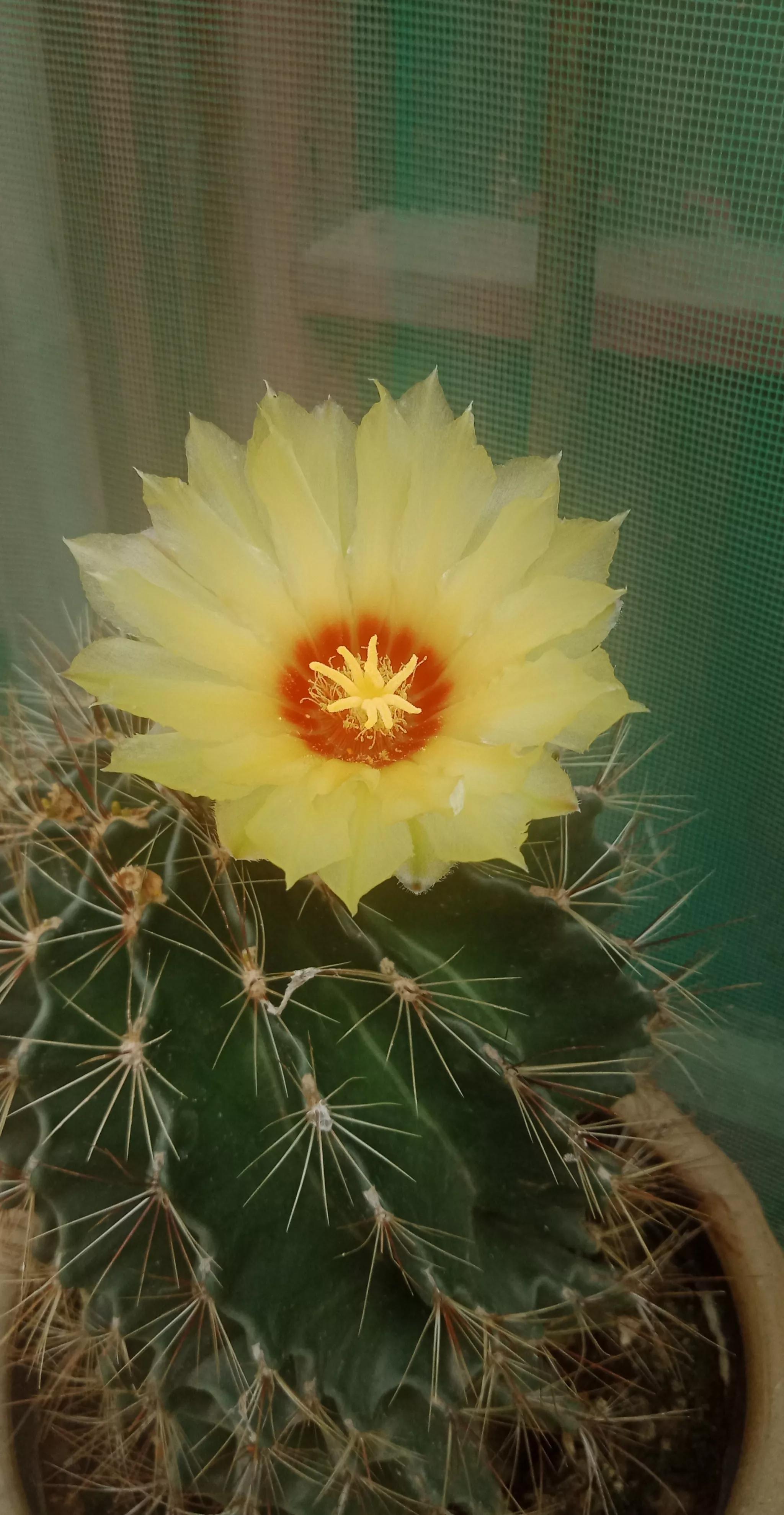 房屋漏水房顶需要怎么改造,旧房改造后楼顶漏水找哪里处理