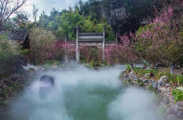 桃花源里看桃花风景优美,再游桃花源美景