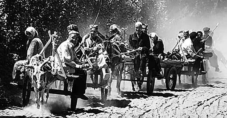 赶巴扎视频大全,赶巴扎时间表