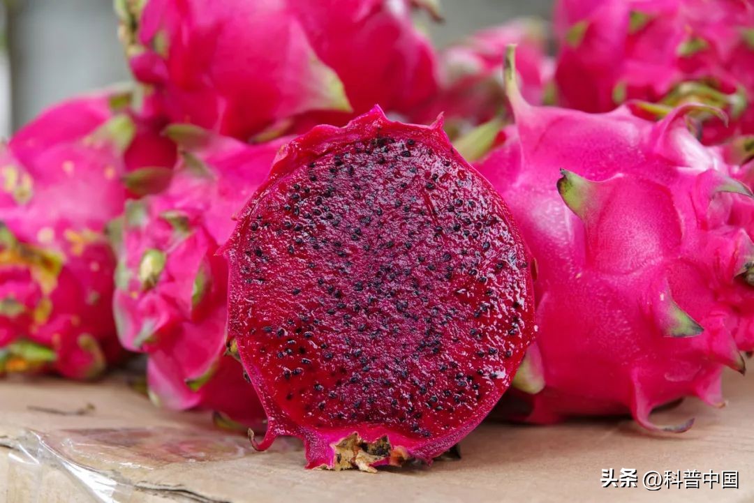 每天吃1个火龙果，身体会有什么变化？大便会顺畅？尿液会变红？