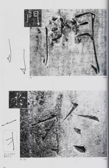 宸ョ瑪鐢绘潹鏅箟鐢诲唽,鏉滈箖鏉ㄦ櫘涔夊畬鏁寸増