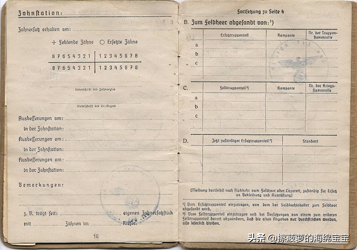 二战时德国军人的肩章,二战德国兵种领章