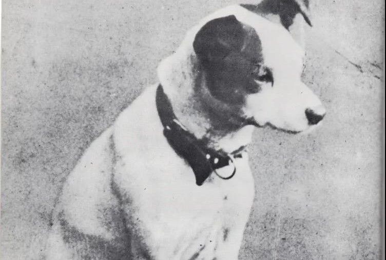 hmv唱片店香港还有吗,hmv香港旗舰店