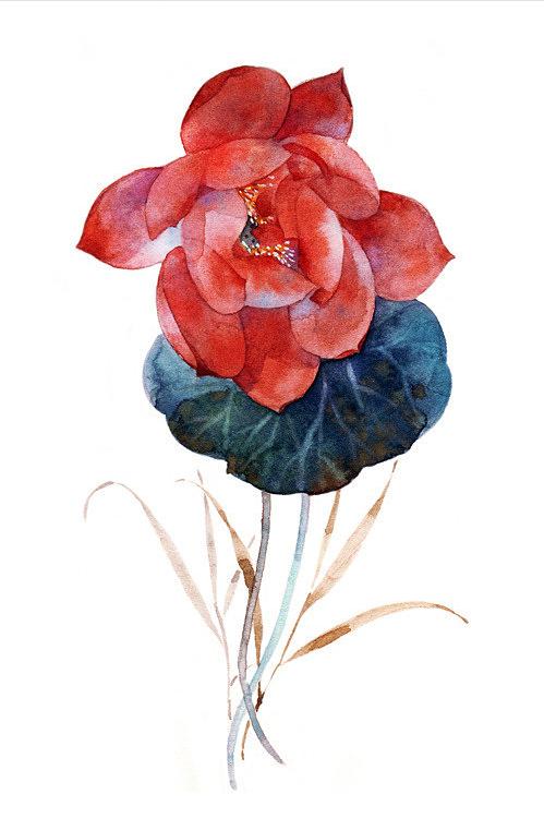 十首最美荷花诗词,最有韵味的荷花十首诗词