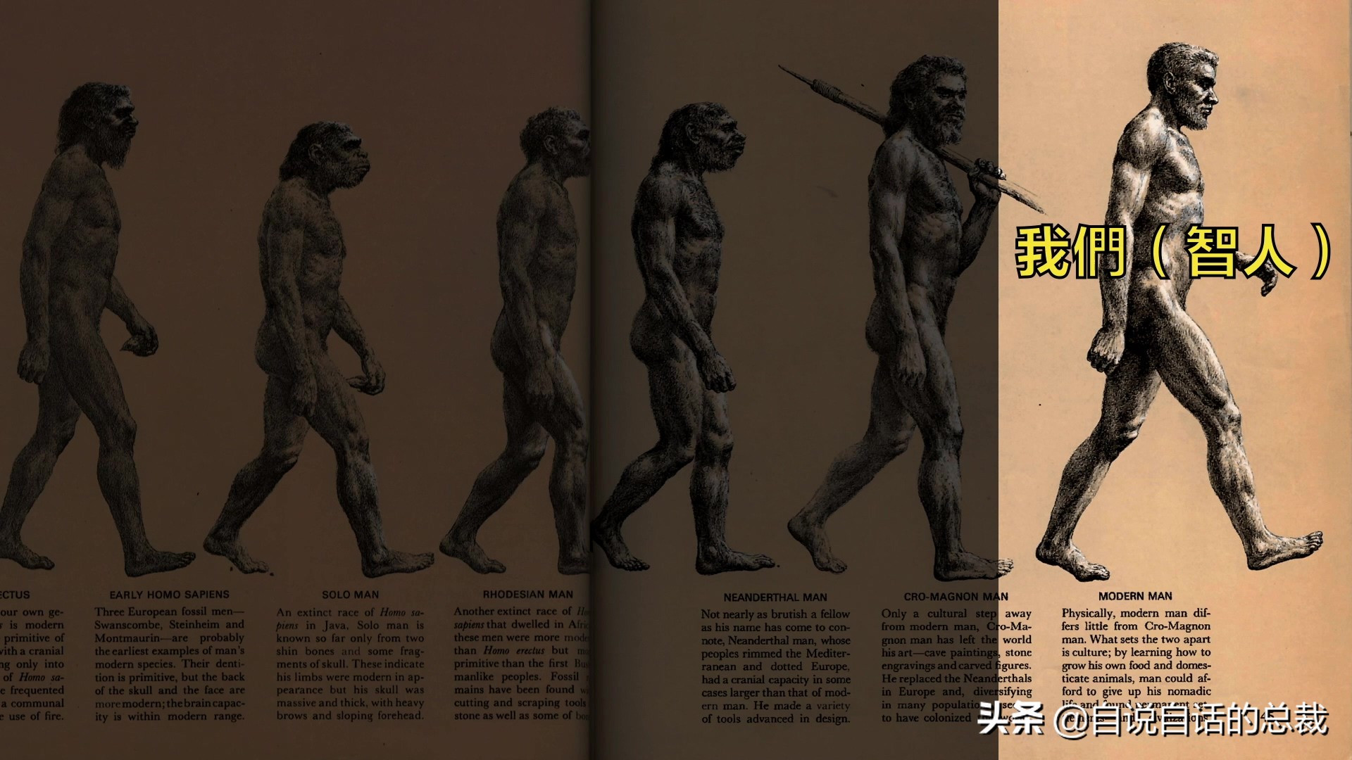 元宇宙给我们带来的影响,元宇宙对普通生活的影响