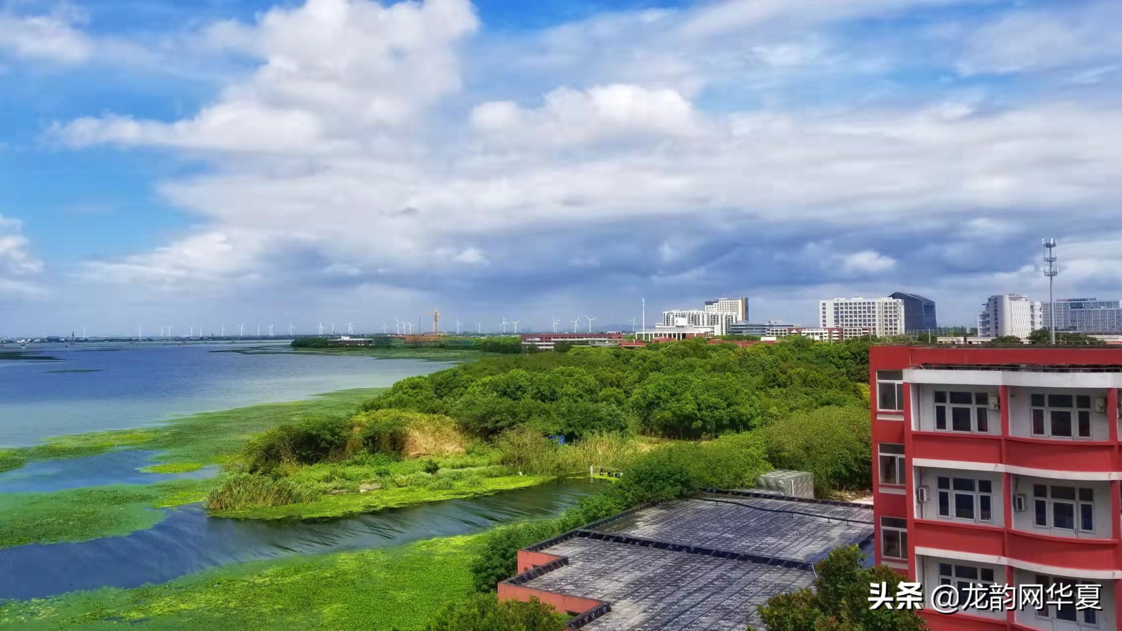 苏州托普信息职业学院官网,苏州托普信息职业技术学院教务网