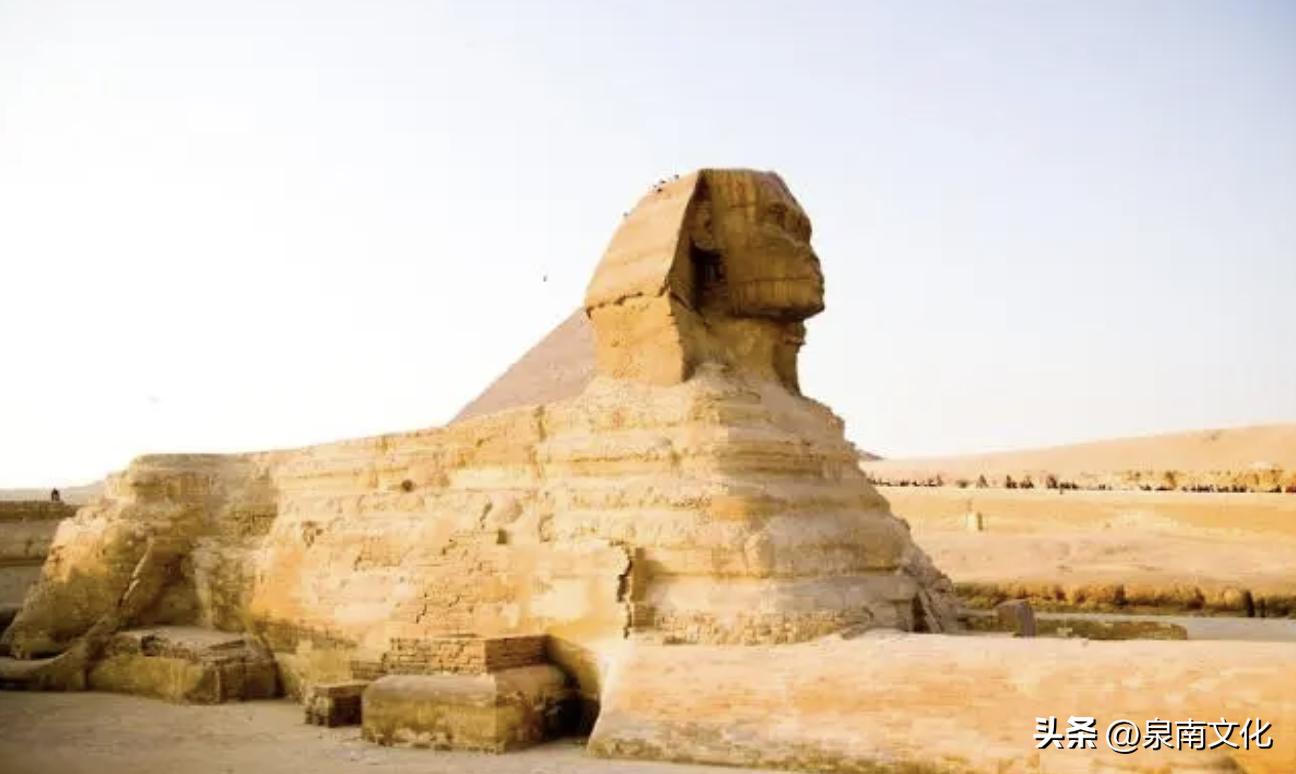 关于狮子的科普解说,讲解狮子纪录片