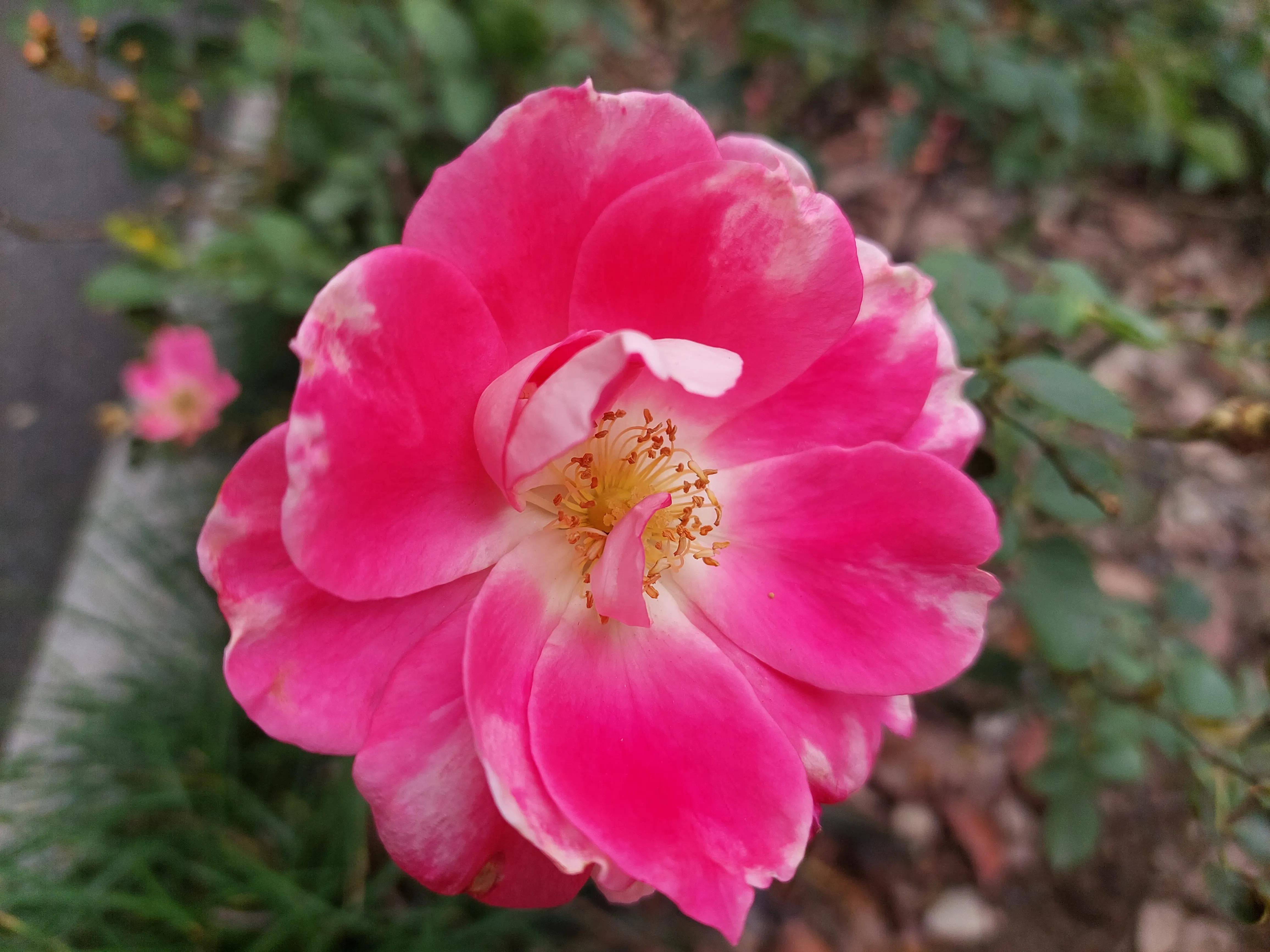 想要足球踢得好,想踢好足球要练什么