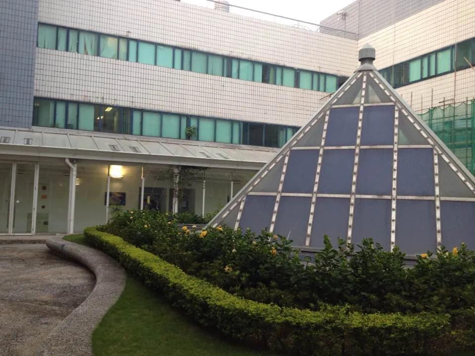 感受香港人文之美好