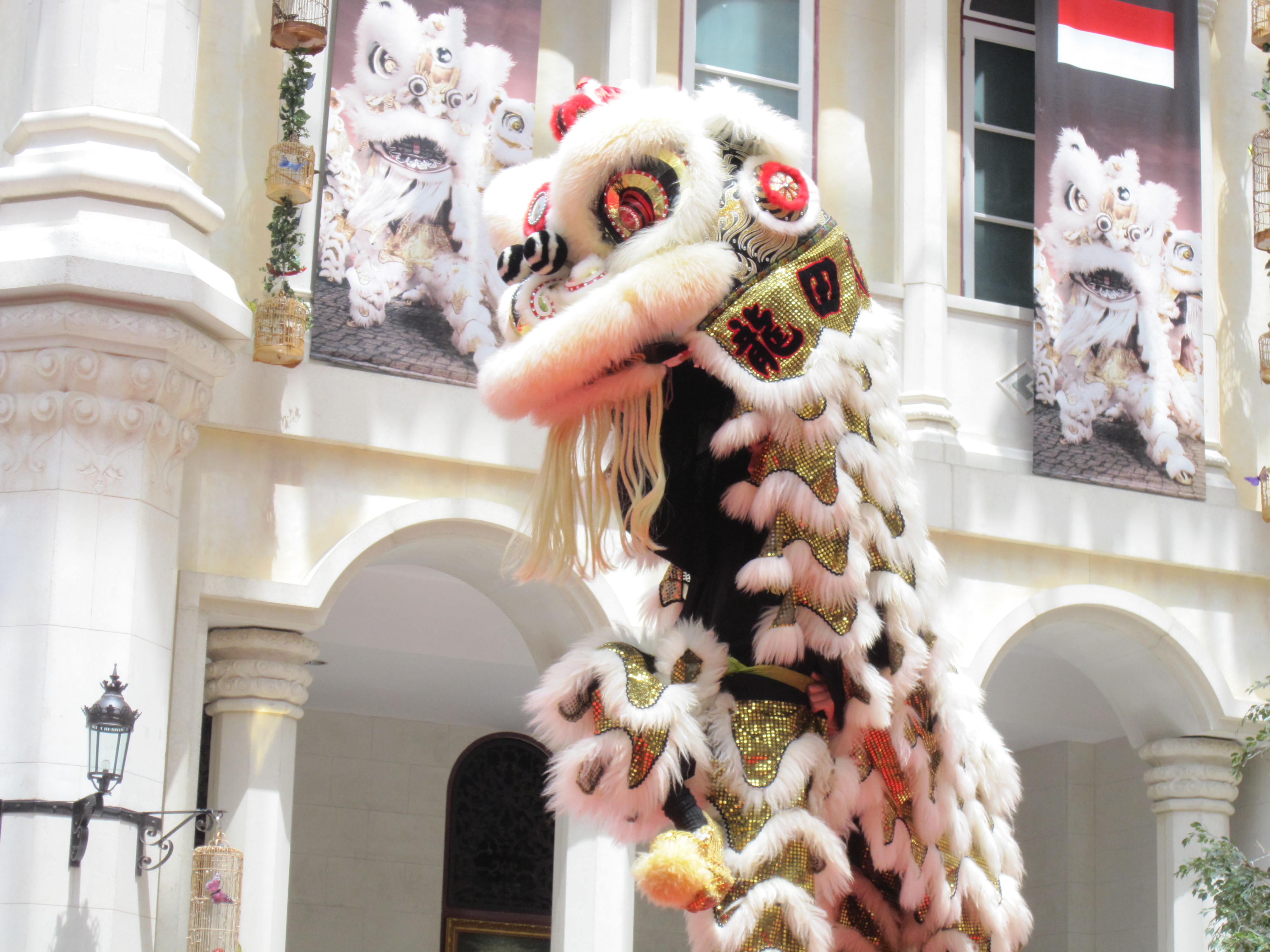 舞狮子表演视频,舞狮表演