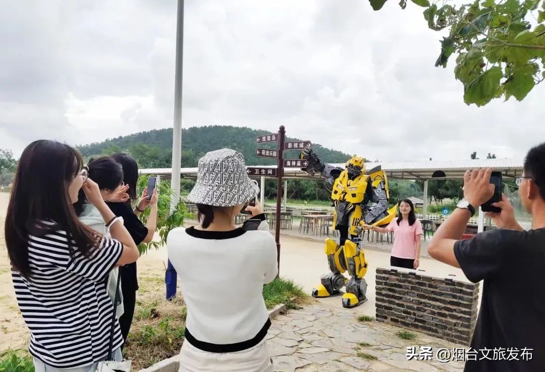 山东海阳十大美丽城市,海阳市全国排名