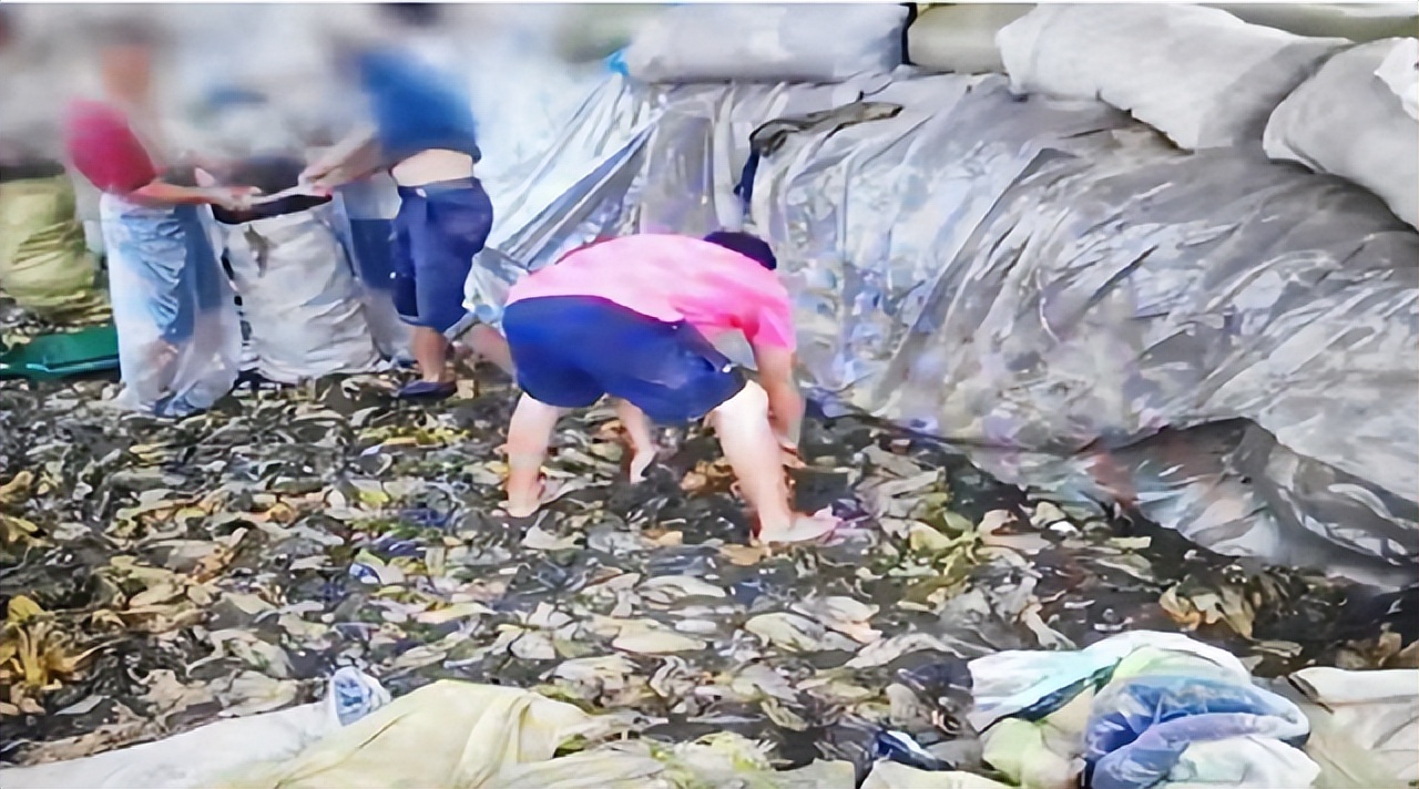 康师傅老坛酸菜方便面销量暴增,康师傅老坛酸菜有质检报告