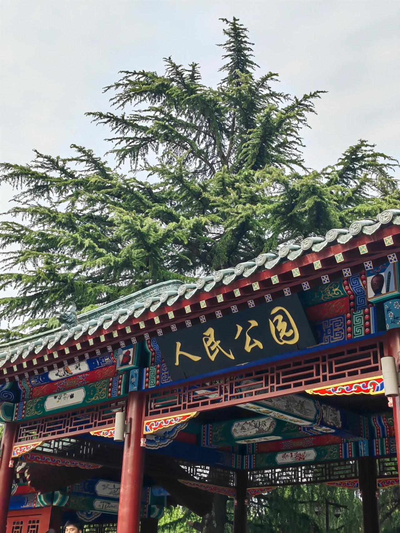 郑州最适合自驾的地方,周末郑州自驾游最美路线