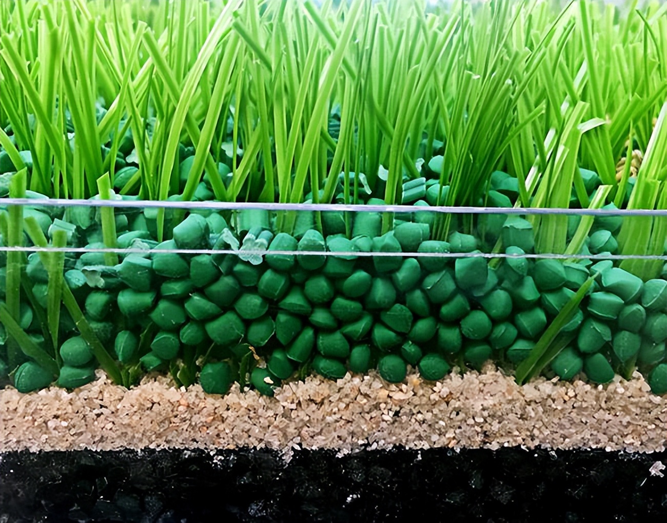 草坪养护改善土质,草坪养护中的施肥管理