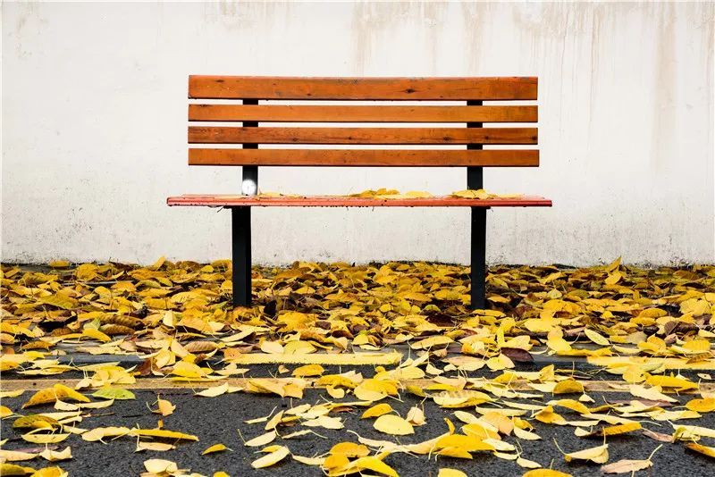 深圳职业技术学院凤凰山校区宿舍,深圳职业技术学院西丽湖校区宿舍