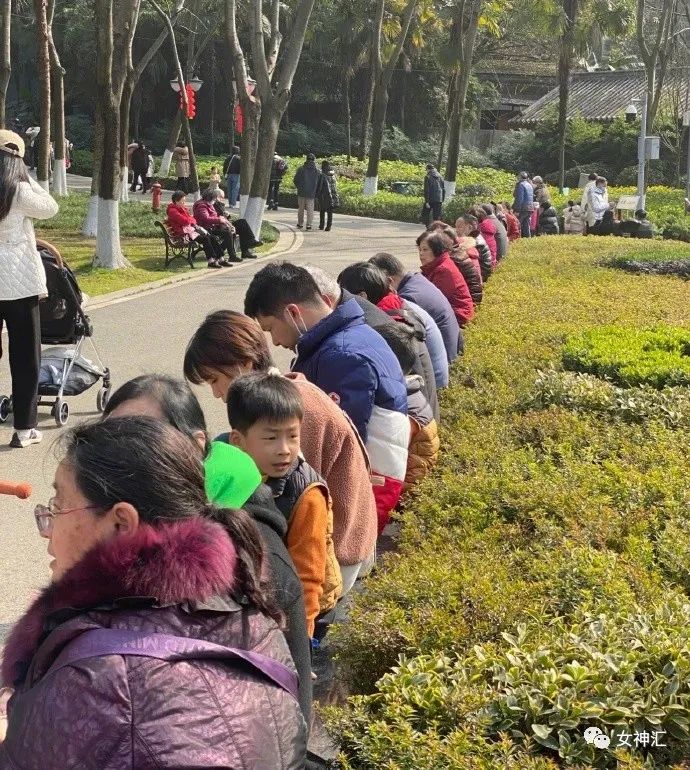 情人节男朋友给我发了520000,情人节男朋友买了一千多的礼物